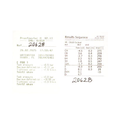 Omega Seamaster Planet Ocean Ceramic