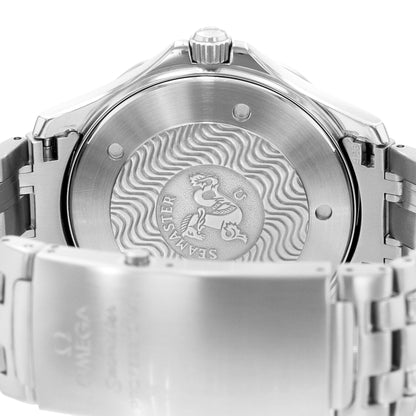 Omega Seamaster Dive Steel