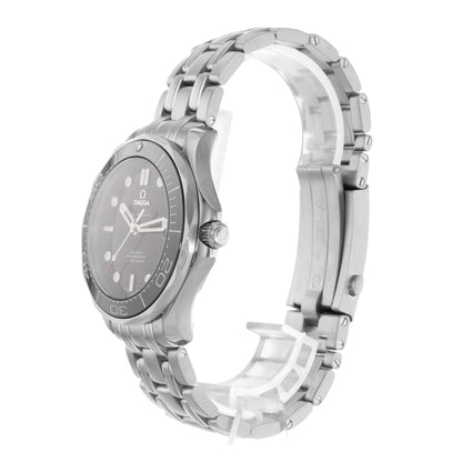 Omega Seamaster Steel