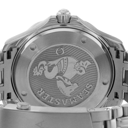 Omega Seamaster Steel
