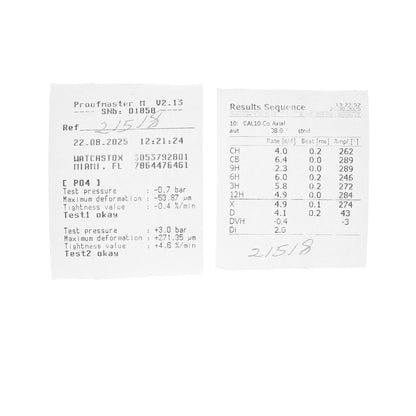 Omega Seamaster Steel