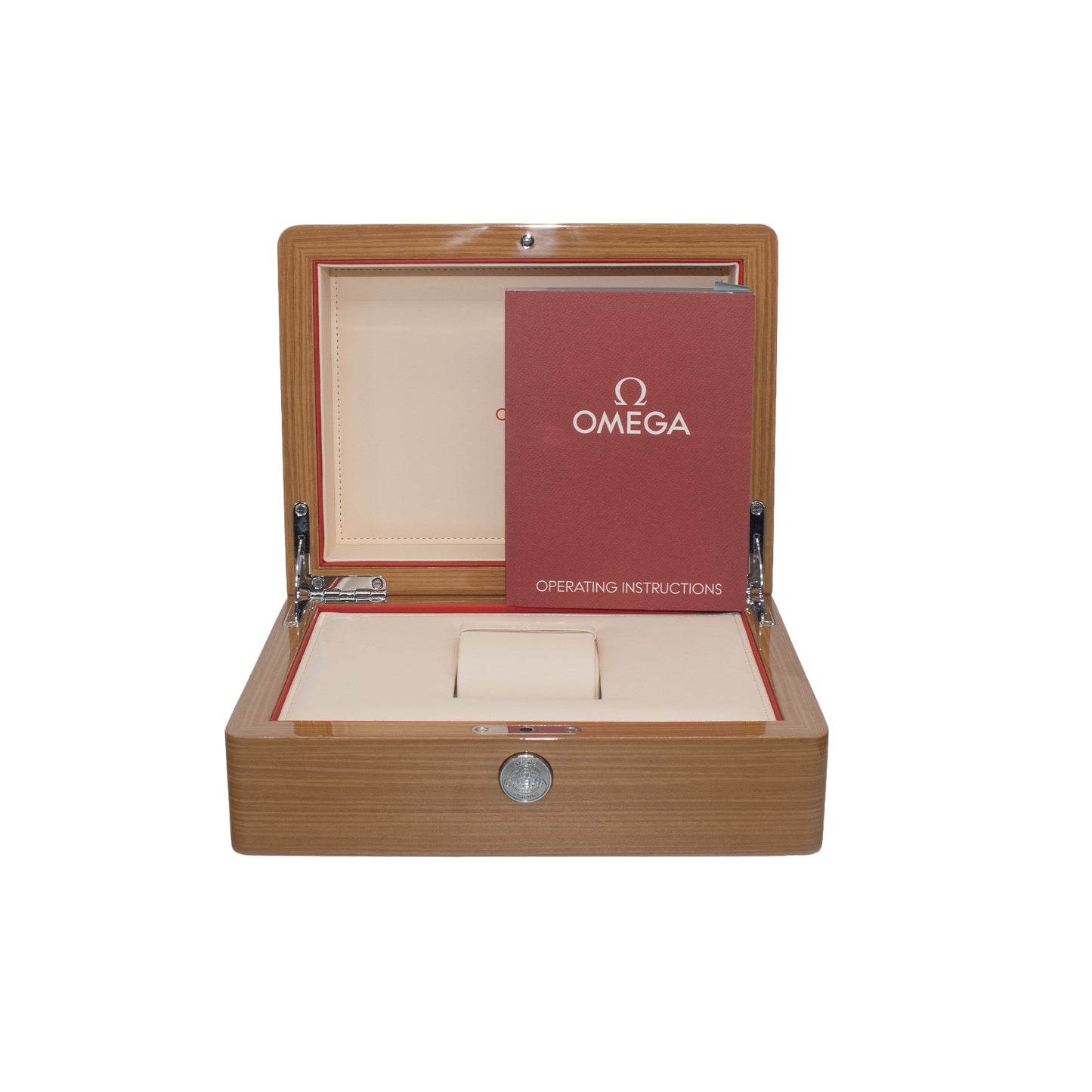 Omega Seamaster Steel