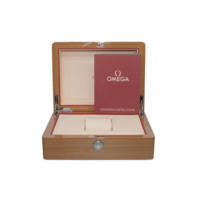 Omega Seamaster Steel