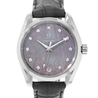Omega Seamaster Aqua Terra Steel