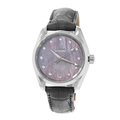 Omega Seamaster Aqua Terra Steel