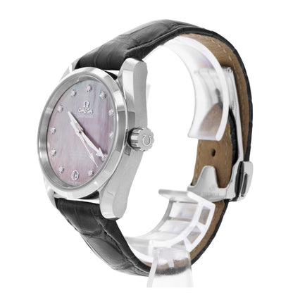 Omega Seamaster Aqua Terra Steel