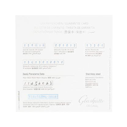 Glashutte Original SeaQ Panoramadatum Steel