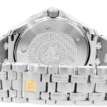 Omega Seamaster Steel