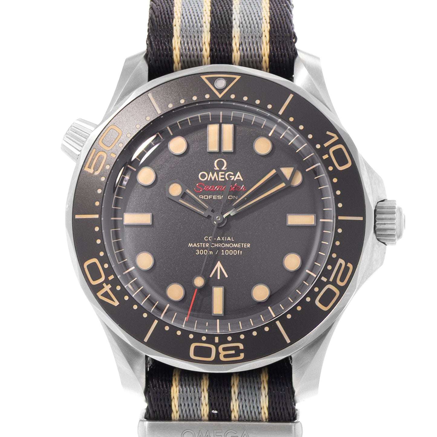 Omega Seamaster Diver 300 M Titanium