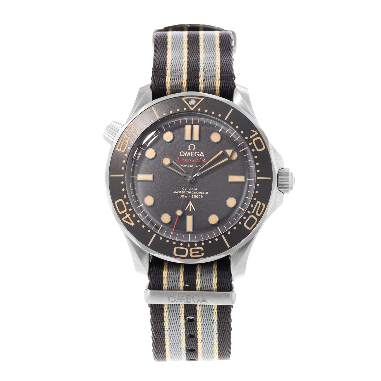 Omega Seamaster Diver 300 M Titanium