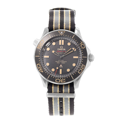 Omega Seamaster Diver 300 M Titanium