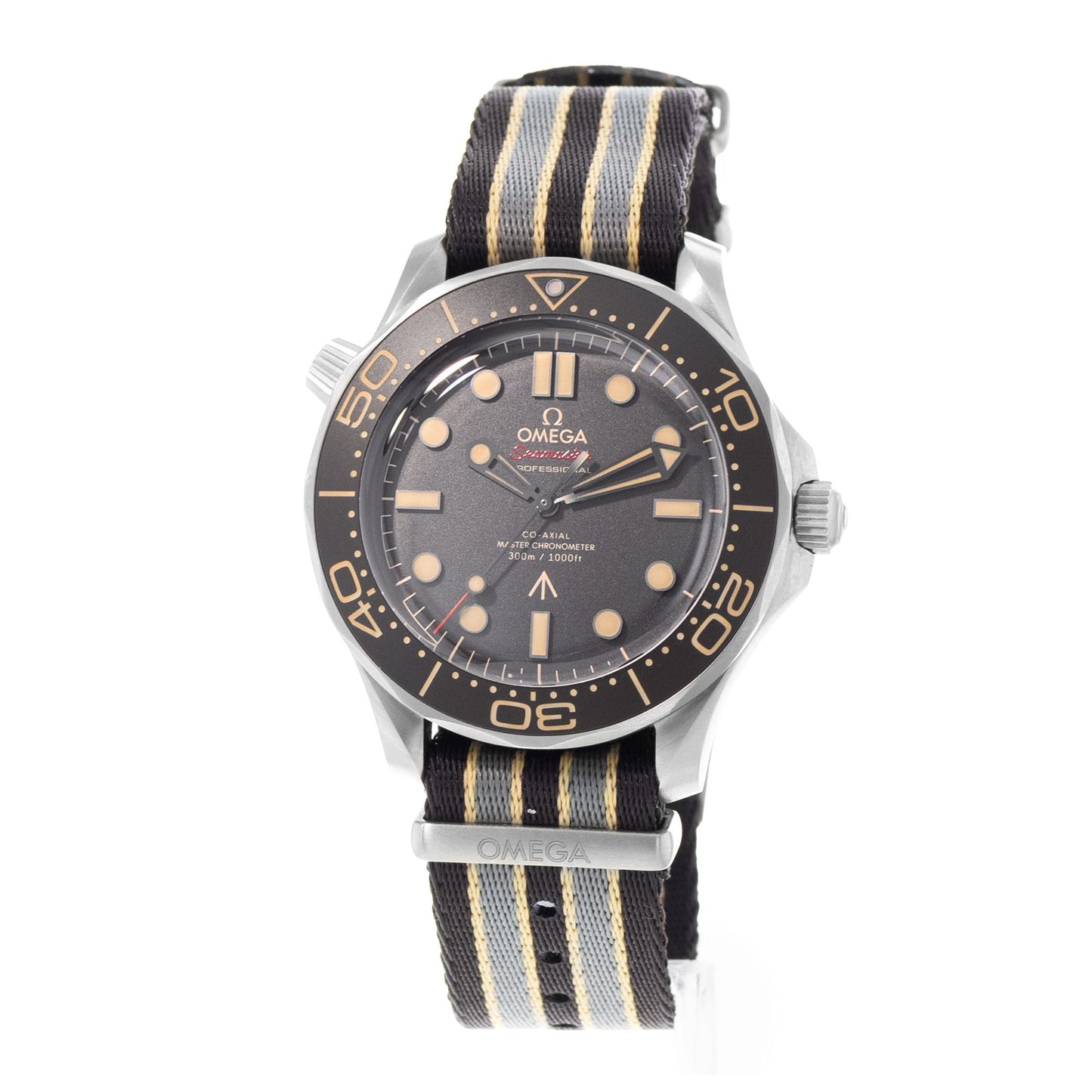 Omega Seamaster Diver 300 M Titanium
