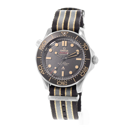 Omega Seamaster Diver 300 M Titanium