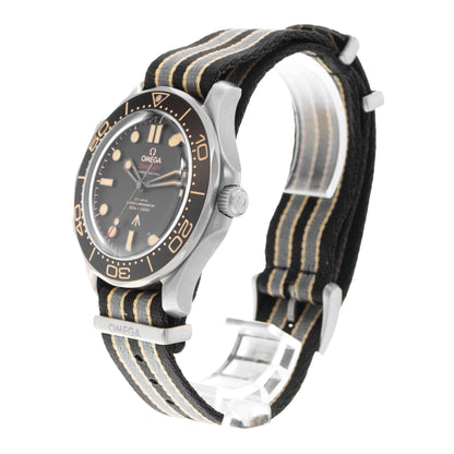 Omega Seamaster Diver 300 M Titanium