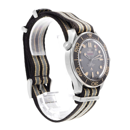 Omega Seamaster Diver 300 M Titanium
