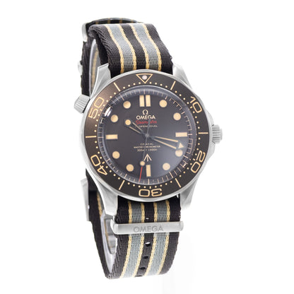 Omega Seamaster Diver 300 M Titanium