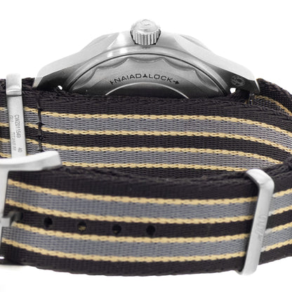 Omega Seamaster Diver 300 M Titanium