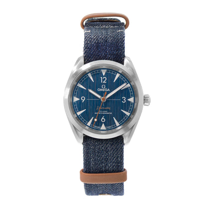 Omega Seamaster Railmaster Steel