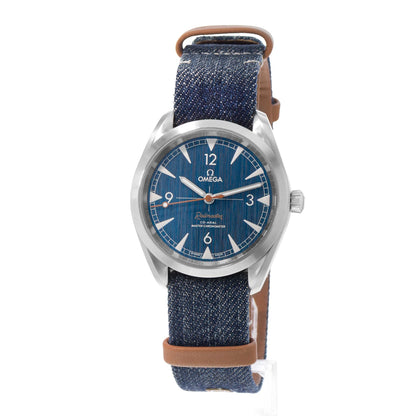 Omega Seamaster Railmaster Steel