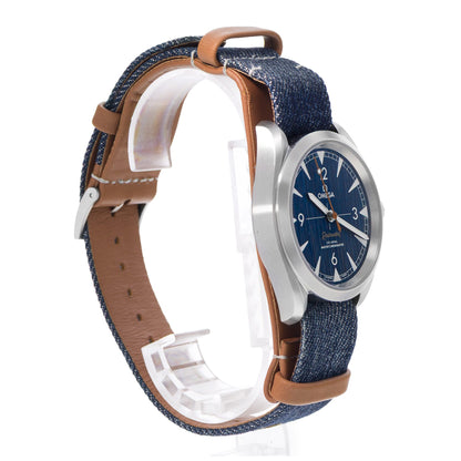 Omega Seamaster Railmaster Steel