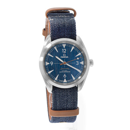 Omega Seamaster Railmaster Steel