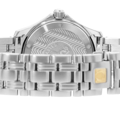 Omega Seamaster 120 M Steel