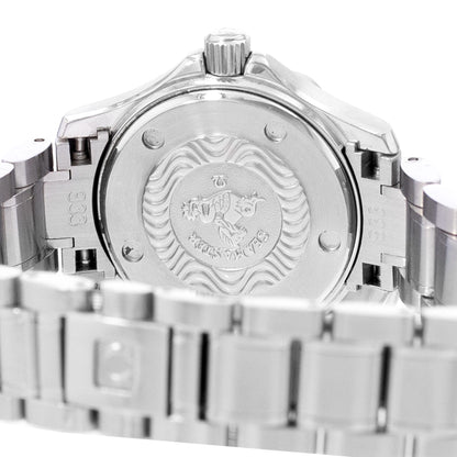 Omega Seamaster Steel