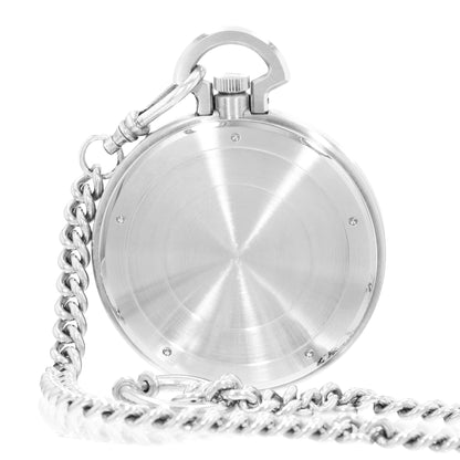 IWC Ingenieur  Steel