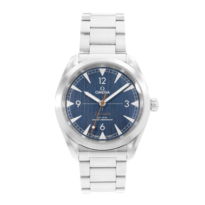 Omega Seamaster Railmaster Steel