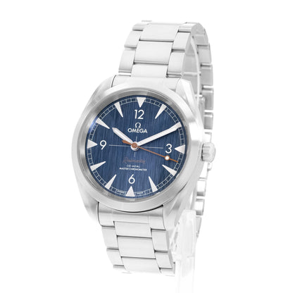 Omega Seamaster Railmaster Steel