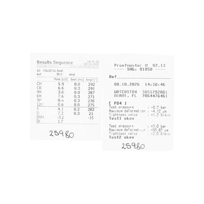 Omega Seamaster Diver 300 M Steel